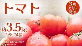 トマト 約3.5kg (16～24個)【2026年3月上旬発送開始】(茨城県共通返礼品：大子町) とまと 野菜 やさい	