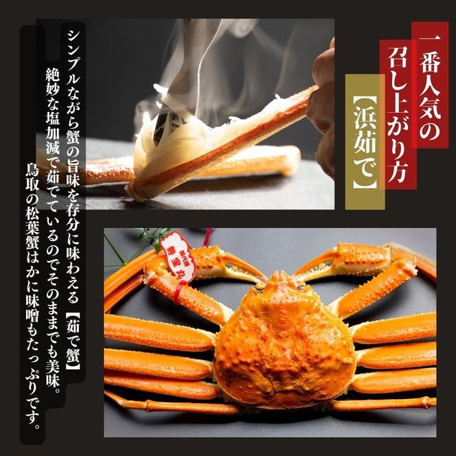 【特選】松葉ガニ 中サイズ 約450g～600g タグ付(茹で) 312011_EG003