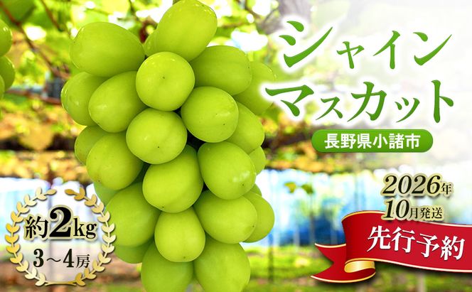 シャインマスカット 先行予約 約2kg 3～4房 果物 フルーツ ぶどう 大粒 甘い 完熟