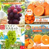 【全4回】紀州和歌山産旬のフルーツセット(巨峰・シャイン・みかん・不知火) / 果物定期便 フルーツ定期便 みかん オレンジ 柑橘 くだもの 果物 シャイン マスカット ぶどう 巨峰 しらぬい 不知火