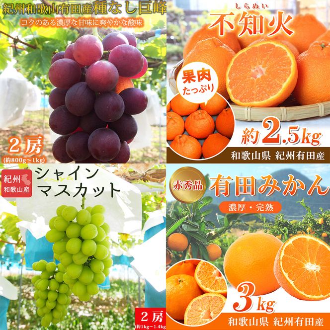 【全4回】紀州和歌山産旬のフルーツセット(巨峰・シャイン・みかん・不知火) / 果物定期便 フルーツ定期便 みかん オレンジ 柑橘 くだもの 果物 シャイン マスカット ぶどう 巨峰 しらぬい 不知火