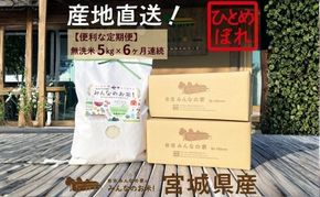【定期便6ヵ月連続】岩沼みんなの家の「みんなのお米！」ひとめぼれ無洗米5kg×6ヶ月 