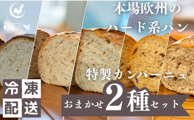 本場欧州のハード系パン　特製カンパーニュ　2種セット （種類ランダム/焼成前各1kg）