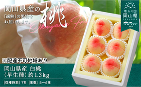 桃 2026年 先行予約 白桃 早生種 約1.3kg 5～6玉 もも モモ 岡山県産 国産 フルーツ 果物 ギフト