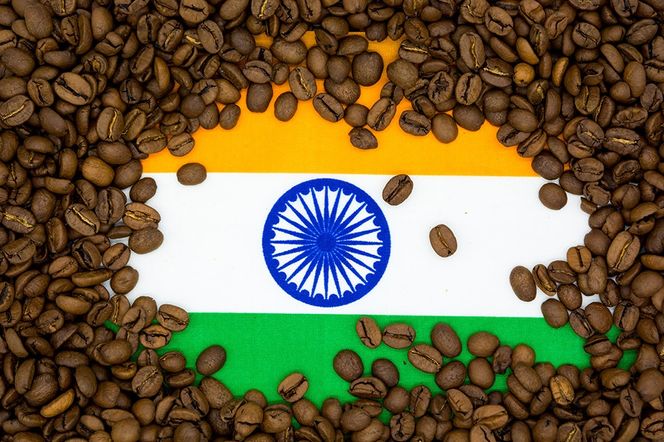 コーヒー シングルオリジン インド SEVENTH  HEAVEN 3袋（計約500g） 宮城県利府町（豆）|06_grc-030101a