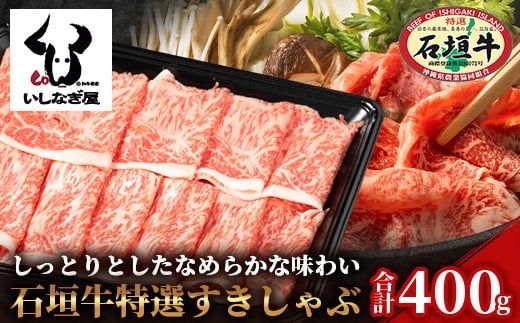 yꌧΊ_szΊ_I400g AB-21