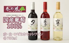 春日井ワイナリ－春の風 赤・白・ロゼ3本セットワイン 各750㎖