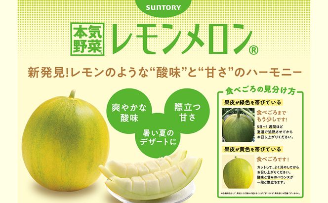 【希少！数量限定先行予約 2026年発送】 レモンメロン 2Lサイズ 1玉 北海道 富良野産 レモン メロン 新品種 富良野市 ふらの お中元 ギフト 水戸青果 送料無料