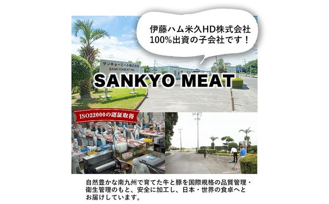 【数量限定】小分け・真空パック!九州産豚肉4種セット＜計2.25kg＞ a3-212