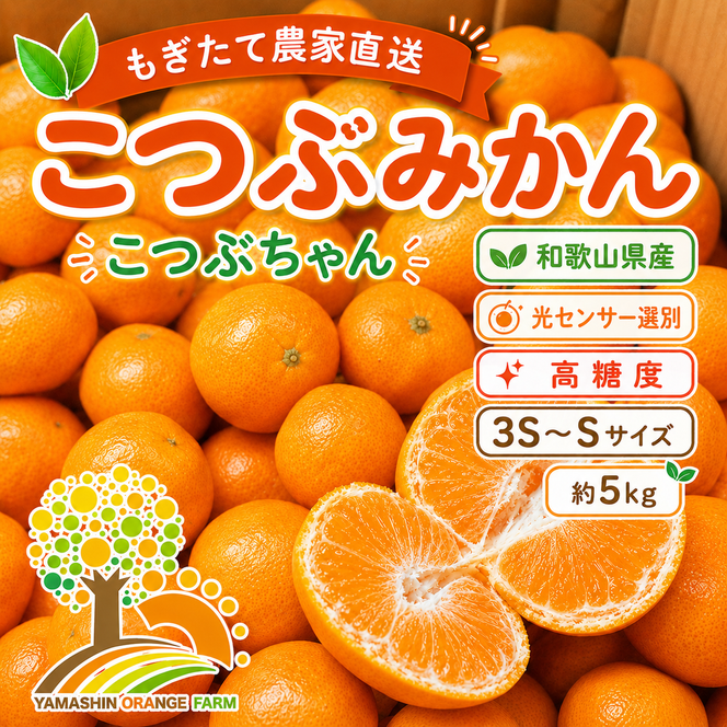 ちっちゃな 有田みかん こつぶみかん 5kg （3S～2Sサイズ混合）| 小粒 光センサー選別 温州みかん みかん 柑橘 果物 くだもの フルーツ