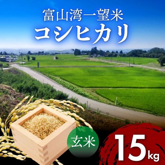 【先行予約】新米 富山湾一望米　コシヒカリ 玄米 【容量15kg】【2025年10月より順次発送】