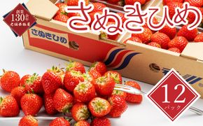 【2027年2月上旬以降発送開始】 いちご さぬきひめ 約250g × 12パック 丸亀の紅い宝石 苺 イチゴ いちご人気 フルーツ 果物 デザート 旬 産地直送 旬の果物 旬のフルーツ お取り寄せ 取り寄せ 冷蔵 冷蔵配送
