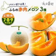 【2026年7～9月連続お届け】メロン 好き必見！ ふらの 赤肉 メロン3種 贅沢 定期便 北海道 富良野市 食べ比べ  (松本農園) メロン フルーツ 果物 新鮮 甘い 贈り物 ギフト 道産 ジューシー おやつ ふらの ブランド 夏 