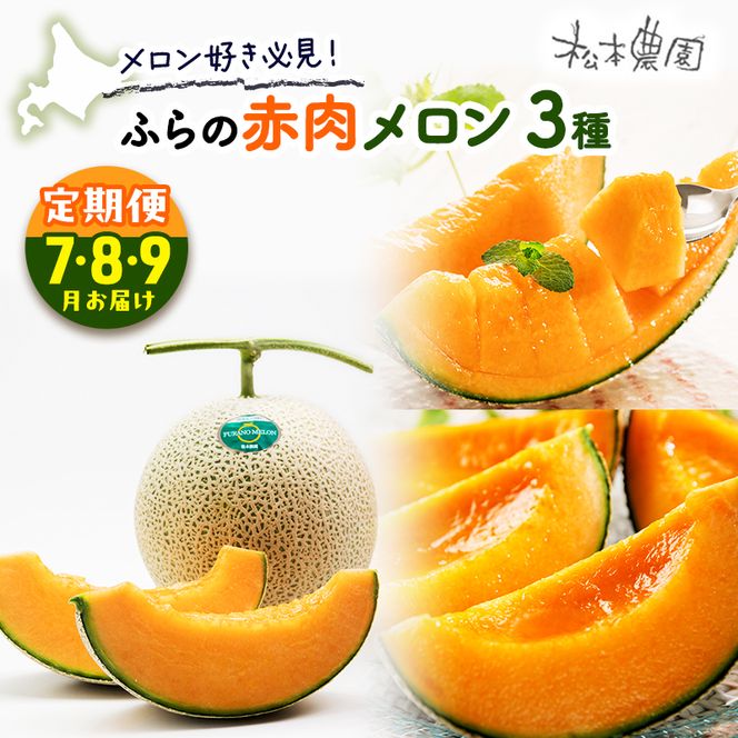 【2026年7～9月連続お届け】メロン 好き必見！ ふらの 赤肉 メロン3種 贅沢 定期便 北海道 富良野市 食べ比べ  (松本農園) メロン フルーツ 果物 新鮮 甘い 贈り物 ギフト 道産 ジューシー おやつ ふらの ブランド 夏