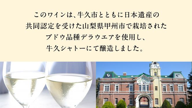 青デラ 750ml ワイン 白ワイン 白 酒 牛久シャトー デラウエア