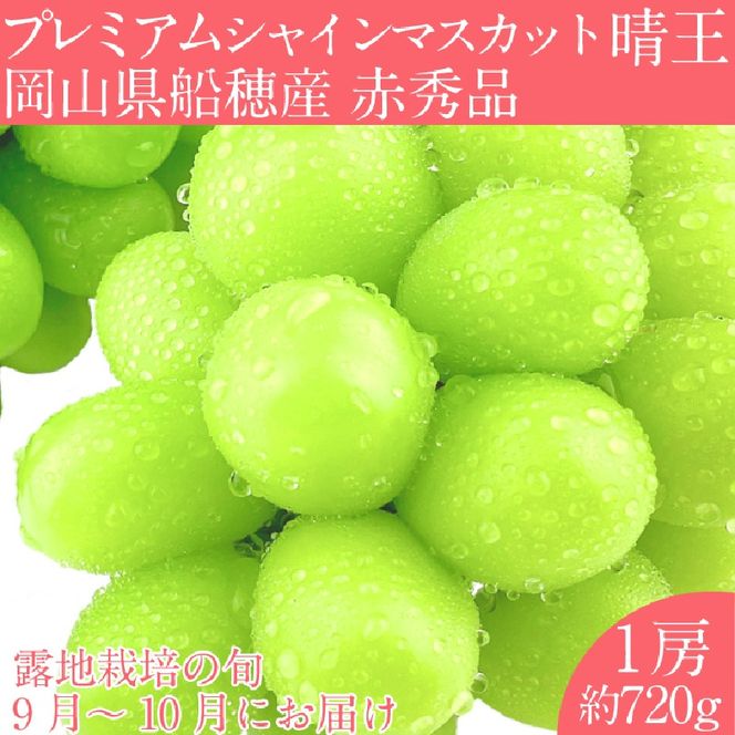 2026年 先行予約プレミアム シャインマスカット 晴王 1房約720g/ 岡山県 船穂産 赤秀品 種無し 皮ごと食べる みずみずしい 9月10月にお届け フレッシュ 晴れの国 おかやま 果物大国 彩美菜果