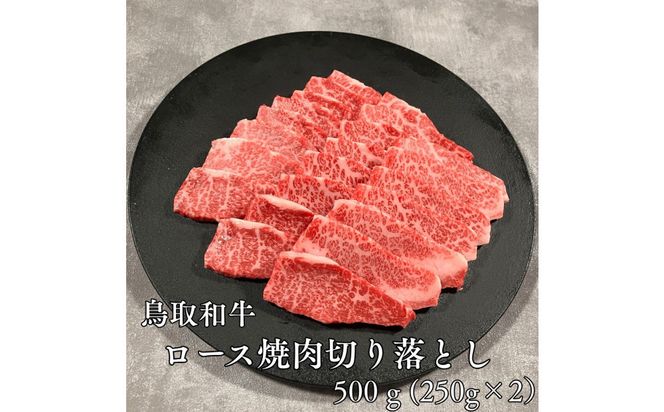 鳥取和牛ロース焼肉切り落とし　500ｇ（250g×2P） 313726_DC010
