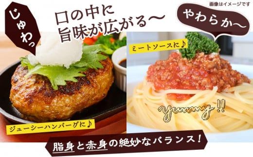 観音池ポーク100％ミンチ3kg(真空)_13-1504_ (都城市) 銘柄豚肉 豚ミンチ肉(500g×6パック) 合計3キロ 真空パック 豚ひき肉 冷凍肉 ブランドポーク 国産豚肉 観音池ポーク 豚肉 肉