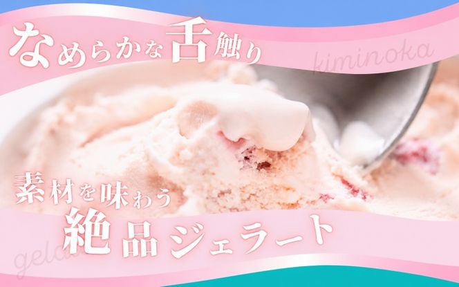  ジェラート セット 12個 8月発送 21000円 / キミノ―カ アイス クリーム スイーツ 野菜 果物【kmk105-aug-12】
