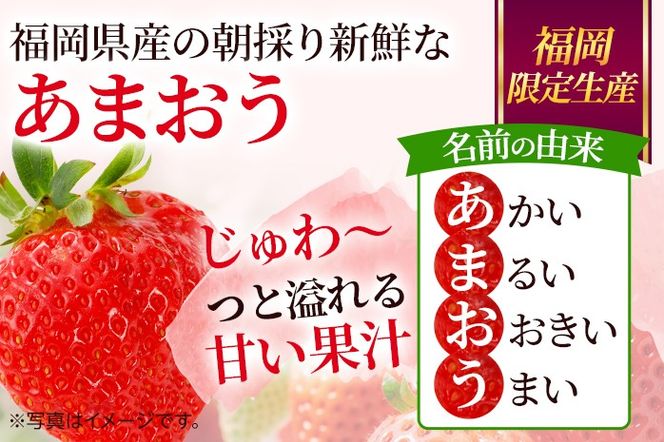 【全3回定期便】農家直送 朝採り新鮮いちご【博多あまおう】約270g×4パック 福岡県産 苺 イチゴ 朝採れ 冷蔵 スイーツ ジュース ギフト プレゼント お取り寄せ 福岡 お土産 九州 福岡土産 取り寄せ グルメ 福岡県 ※北海道・沖縄・離島は配送不可