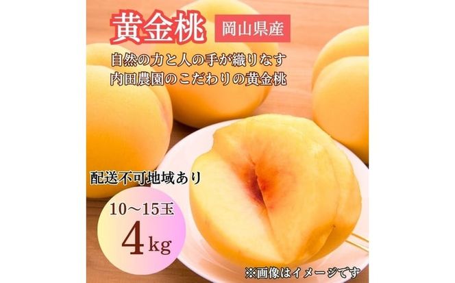 2026年 先行予約 岡山県産 黄色い桃 匠の黄金桃 4kg箱 10～15玉 内田農園 桃 果物 もも [№5735-3500]
