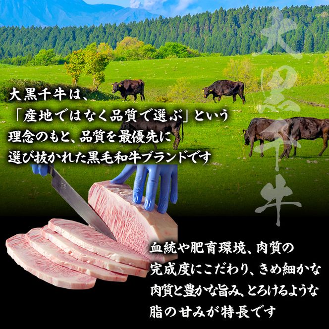 大黒千牛 サーロインステーキ 500g 約250g×2 黒毛和牛 和牛 サーロイン ステーキ 牛肉 牛 お肉 肉 ブランド牛 ステーキ肉 国産 冷凍 キャンプ BBQ アウトドア