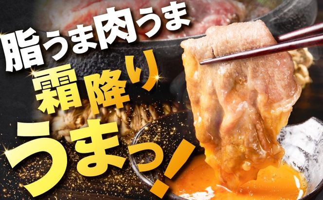 北さつま牛ローススライス　K137-005