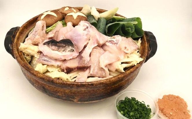 【E-118】冷蔵で完結！名店やますいの極ふぐフルセット 2〜3人前