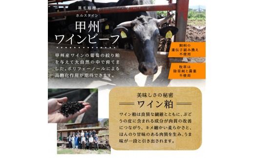 山梨県産　熟成肉ハンバーグ10個セット ハンバーグ 冷凍ハンバーグ お弁当 肉 富士吉田 山梨