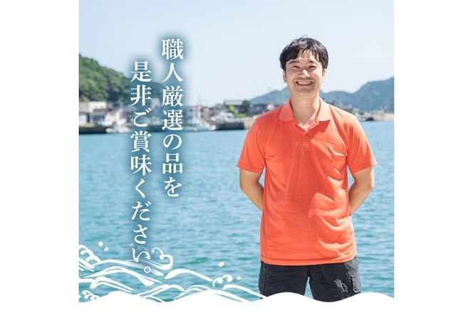 職人厳選干物セット (約7種) 干物 あじ 鯵 さば 鯖 丸干し みりん干し 開き 魚 海鮮 冷凍 詰め合わせ セット 大分県 佐伯市 【CL62】【 (有)ヤマク海産】