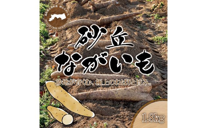 1113.砂丘ながいも1.8kg 313726_CL002