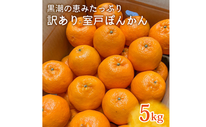 [先行予約]ぽんかん LLサイズ 5kg|農家直送 甘い 訳あり 家庭用 数量限定 ポンカン 濃厚 柑橘 果物 みかん 蜜柑 旬 人気 高知県 室戸市 ふるさと納税