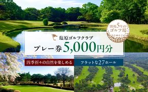 ns028-006 【塩原ゴルフクラブ】プレー券 5,000円分