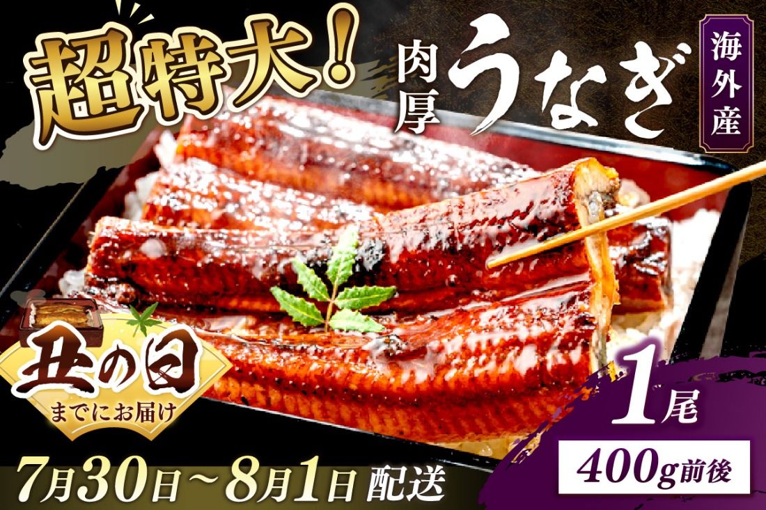 [7月30日〜8月1日配送]超特大!ふっくら肉厚!うなぎ蒲焼 1尾 400g前後 YK00402_02