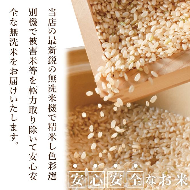 【数量限定】R7年産取手市産コシヒカリ 無洗米5kg|お米 米 こしひかり コシヒカリ  白米 無洗米 茨城県 取手市（BS005）