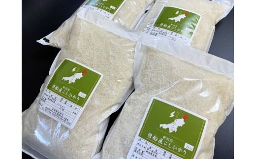 【新米受付・令和8年産米】新潟県村上市岩船産 コシヒカリ20kg（5kg×4袋）1099016N