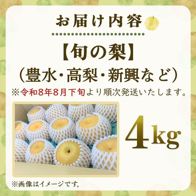 【産直もぎたて】里山のもぎたて梨 4kg程度（フルーツ 果物 旬 梨 国産 限定 期間限定）