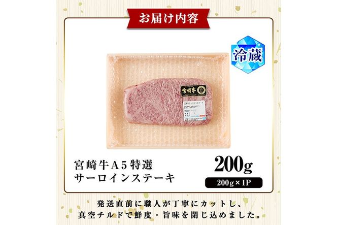新鮮チルド便 宮崎牛 A5 特選 サーロイン ステーキ(200g) 和牛 BBQ アウトドア キャンプ 小分け パック 冷蔵 真空パック ブランド牛 ランク パーティー ご褒美 おかず【OT-04】【KNOT合同会社】
