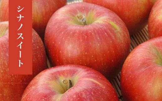 長野県産 季節の旬のりんご 約3kg 6～12玉［小布施屋］ りんご 林檎 リンゴ 果物 フルーツ 令和7年産 【2025年10月～2026年2月発送】 ［H-72］