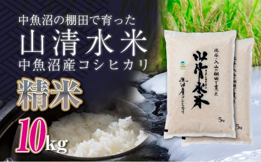 新潟県魚沼産コシヒカリ「山清水米」精米10kg 