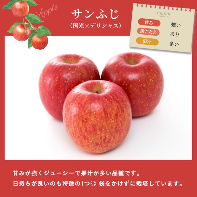 りんご 自家用りんご サンふじ 約5kg フルーツ 果物 甘い 林檎