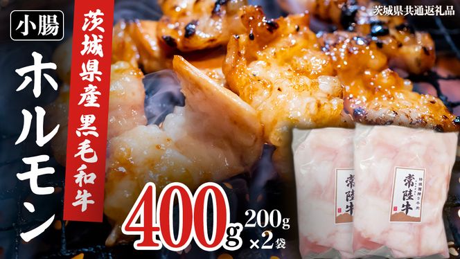 【茨城県産】 黒毛和牛 もつ鍋 焼肉用 小腸 400g（200g×2パック） (茨城県共通返礼品) 国産 牛肉 肉 お肉 ホルモン もつ 和牛 小腸 ホルモン 味付き 味付ホルモン タレ漬け 焼肉 BBQ 小分け 冷凍 料理 簡単