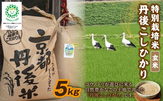 【3ヶ月定期便】令和8年産 丹後こしひかり 玄米5kg 【特別栽培米】新米　KU00105