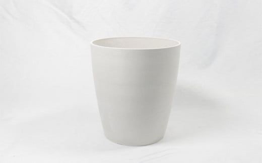 沖縄の観葉植物 人気のフィカス アルテシマ8号 シュエット鉢ポット