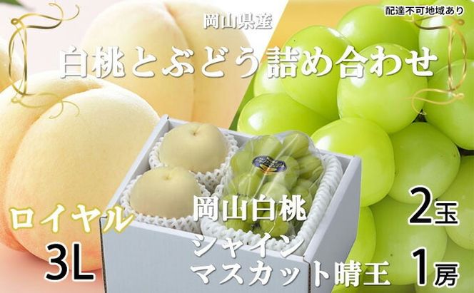 岡山白桃 ロイヤル 2玉×約300g（3Lサイズ、早生種・中生種）シャインマスカット 晴王 1房約600g 詰合せ 岡山県産