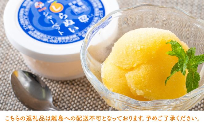 果汁たっぷり！シャーベットなのに滑らかな口当たりニュウズシャーベット3種10個 ※離島への配送不可 IKTF025