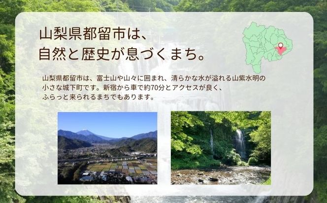 都留市エコハウスで移住体験　宿泊券（ペア）1枚　CM016