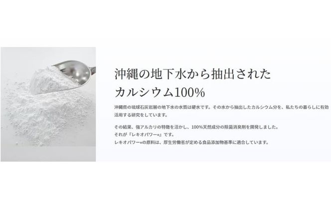レキオパワー除菌スプレー（480ml×1本&100ml×2本）