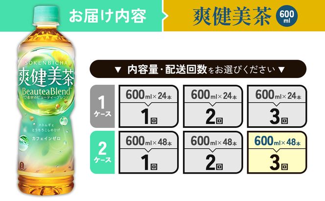 （3回定期便）爽健美茶 600ml PET【コカ・コーラ】ペットボトル 2ケース(48本) 定期便 3回(144本) セット お茶 カフェインゼロ ノンカフェイン ハトムギ ブレンド茶 宮崎県 えびの市 送料無料
