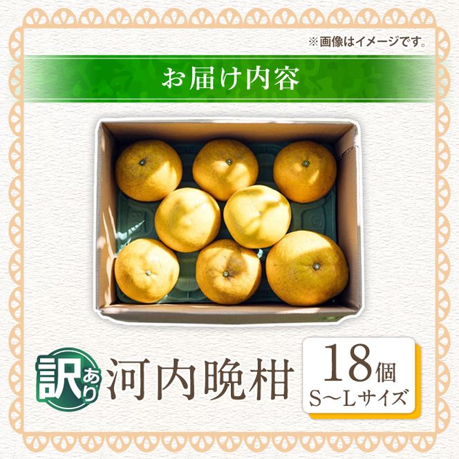 ＜先行予約受付中！2027年3月中旬以降順次発送予定＞訳あり 河内晩柑(S～L・18個・約6kg) 柑橘 フルーツ 果物 国産 みかん 期間限定 数量限定 【株式会社土曜日】akn069-13
